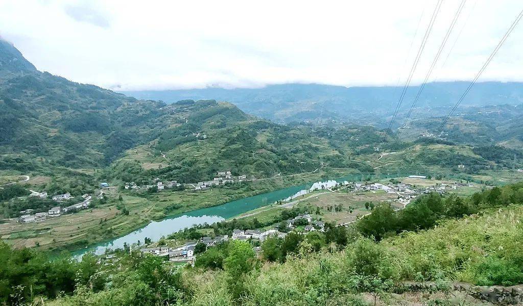 旧城镇长坝村:芙蓉江畔无闲田_发展_火龙果_鱼塘