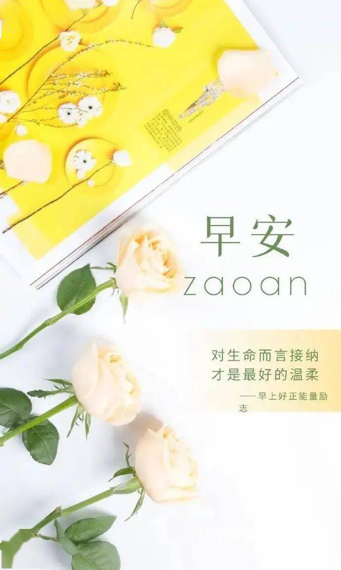 12月15日 早安 |新的一天 努力奋斗