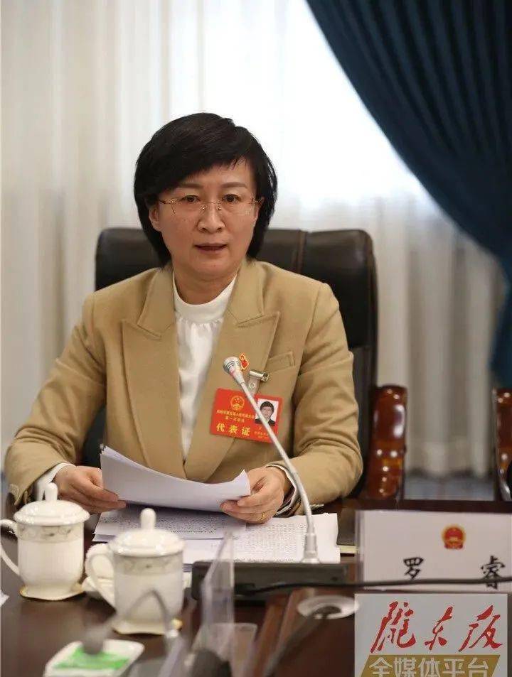 【代表议报告】镇原县代表团