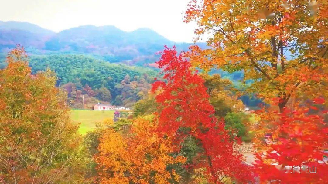 霍山单龙寺旅游景点图片