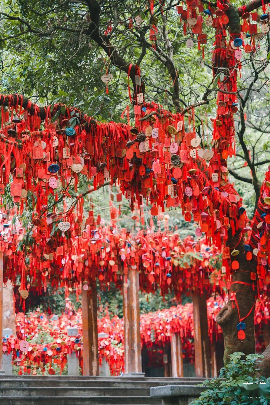 凤凰山绿道要火