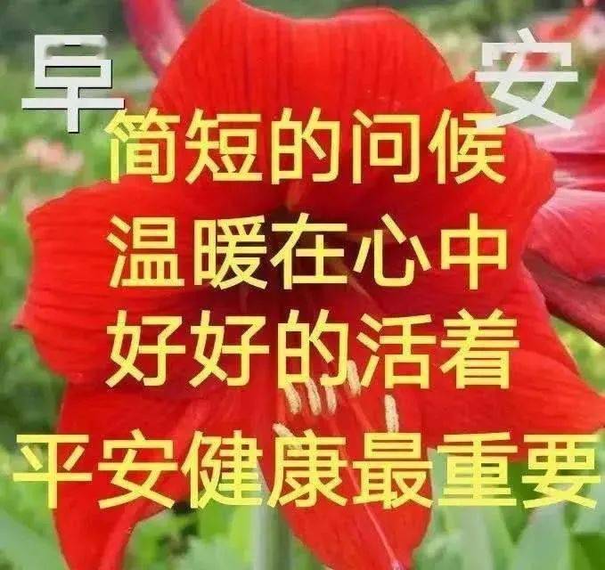 降温早上好天气聊天不用打字的图片祝你出入平安一帆风顺