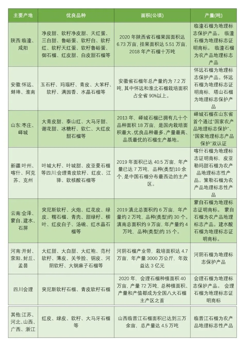 2021���ҹ�ʯ���ҵչ��������