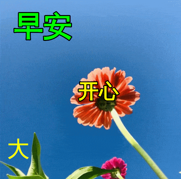 12月16日早上好动态表情图片大全早上好动图美图大全