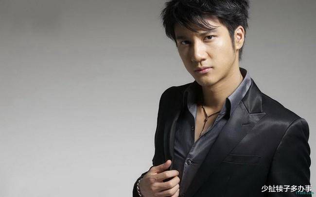 华语流行男歌手王力宏8年婚姻破裂 再回首 遍地感情破裂的痕迹 李靓蕾 双方 名下