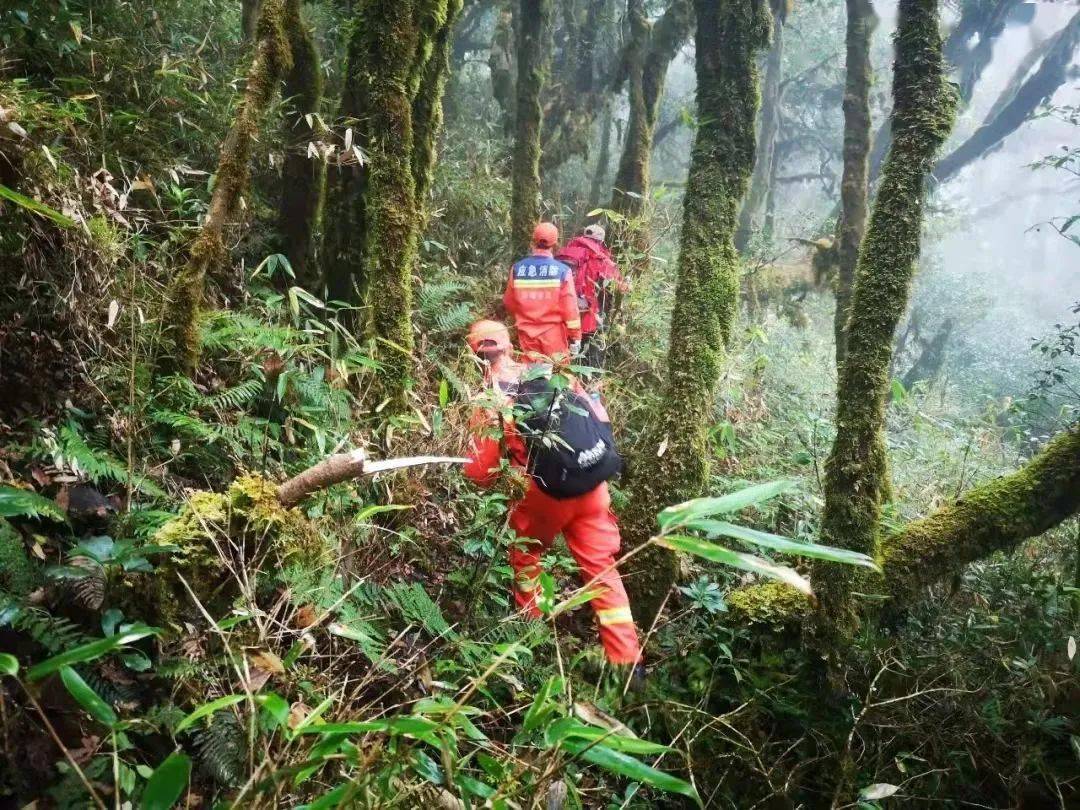 深山裡毒蟲蛇蟻無數,兇猛野獸經常出沒,宿營地附近不到10米的地方2次