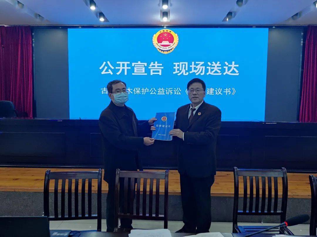 浦城检察公开听证公开送达为古树名木撑起司法保护伞