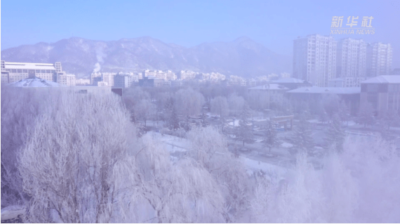 柳建羽|千城胜景｜寒江雪柳日新晴 玉树琼华满目春