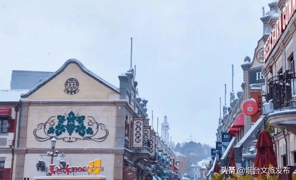 阿雅|雪?雪?雪?雪?雪?！烟台雪景大片海量来袭！