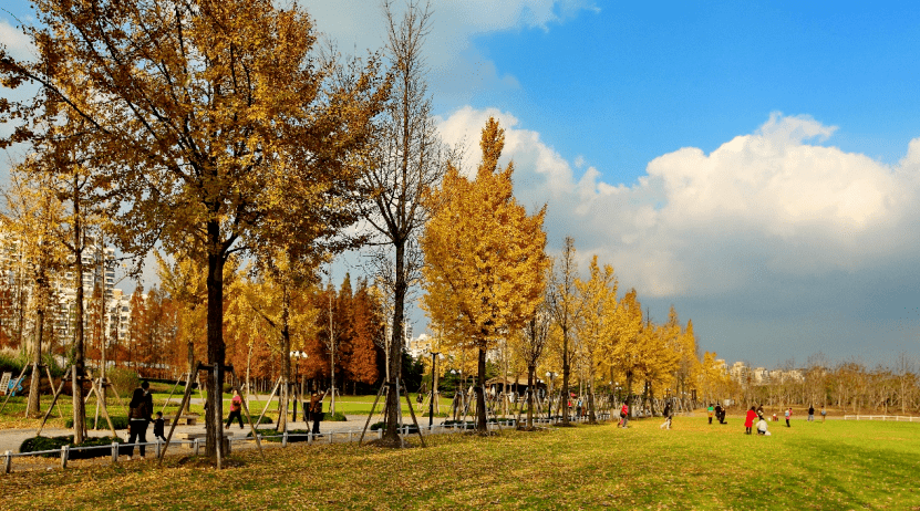 世紀公園微信查天氣預報功能已上線_氣象_上海浦東新區_預警