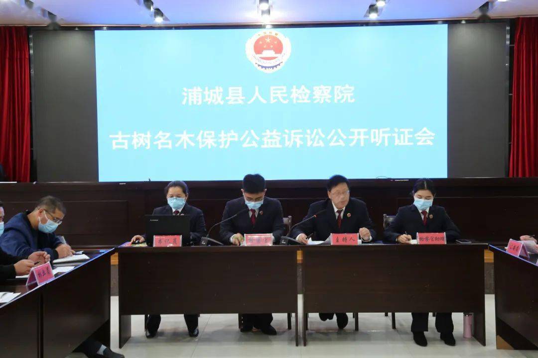 浦城检察公开听证公开送达为古树名木撑起司法保护伞