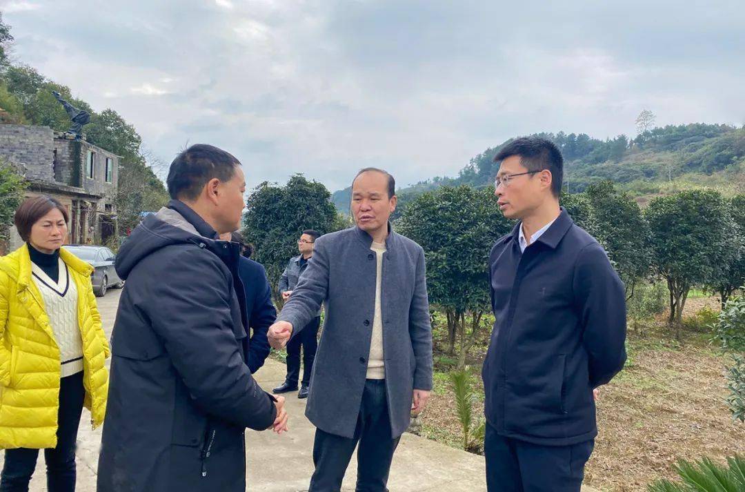 张红兵到部分企业督导环保信访交办案件办理情况_整改_苟江_工作
