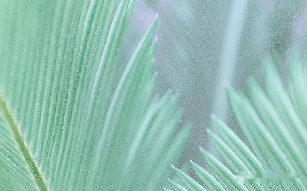 "外阴长疙瘩"是x病吗?先别慌,教你如何分辨!_症状_丘疹_特征