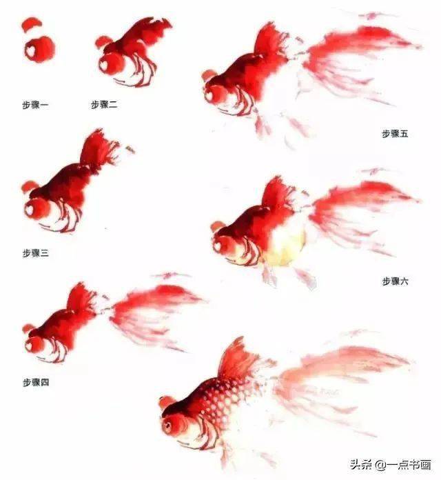 (圖1-4為落筆順序)畫魚尾鰭的用筆順序魚鰭的畫法金魚的速寫金魚身形