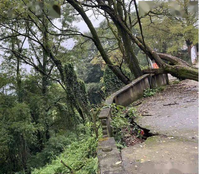 巴岳山景区配套设施建设项目位于重庆市铜梁区城南巴岳山寨子坡半山腰