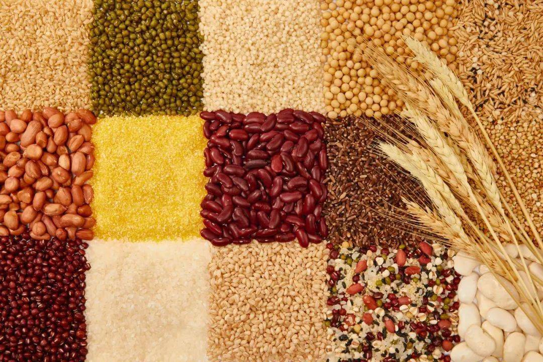 健身_杂粮_杂豆