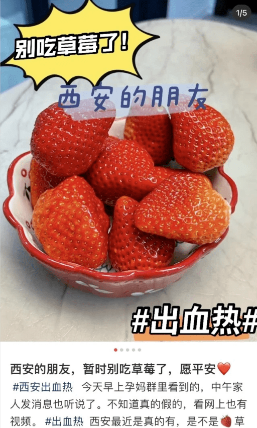 鼠疫|吃草莓會得出血熱？種植戶：這鍋，我們不背！專家緊急辟謠