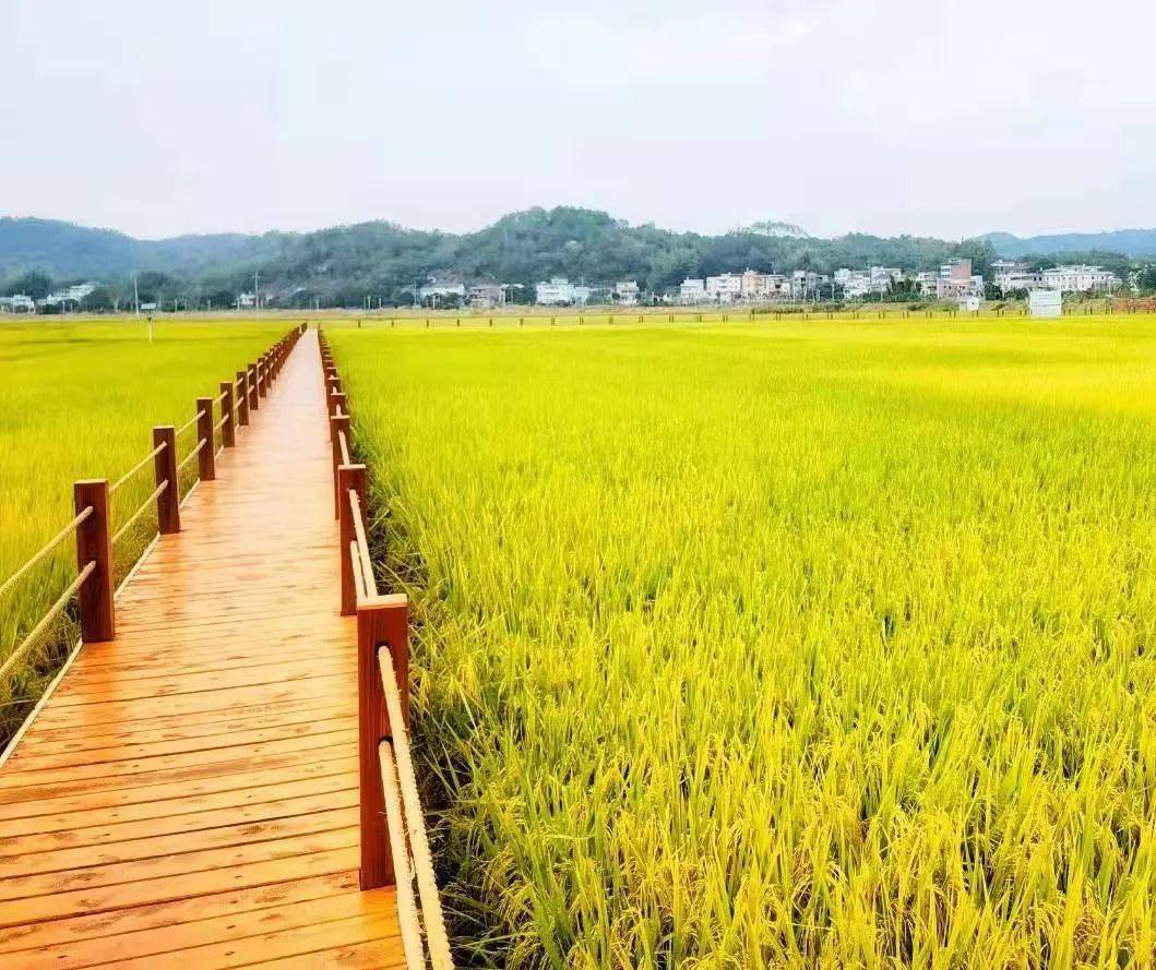 兴宁大坪镇昔日水浸街今日民生路