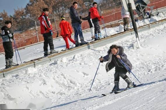 乐园|雪中乐开花