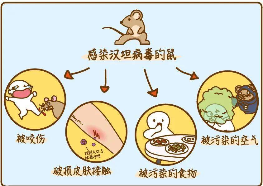 "出血热"上热搜,草莓还能吃吗?_传播_发病率_病毒