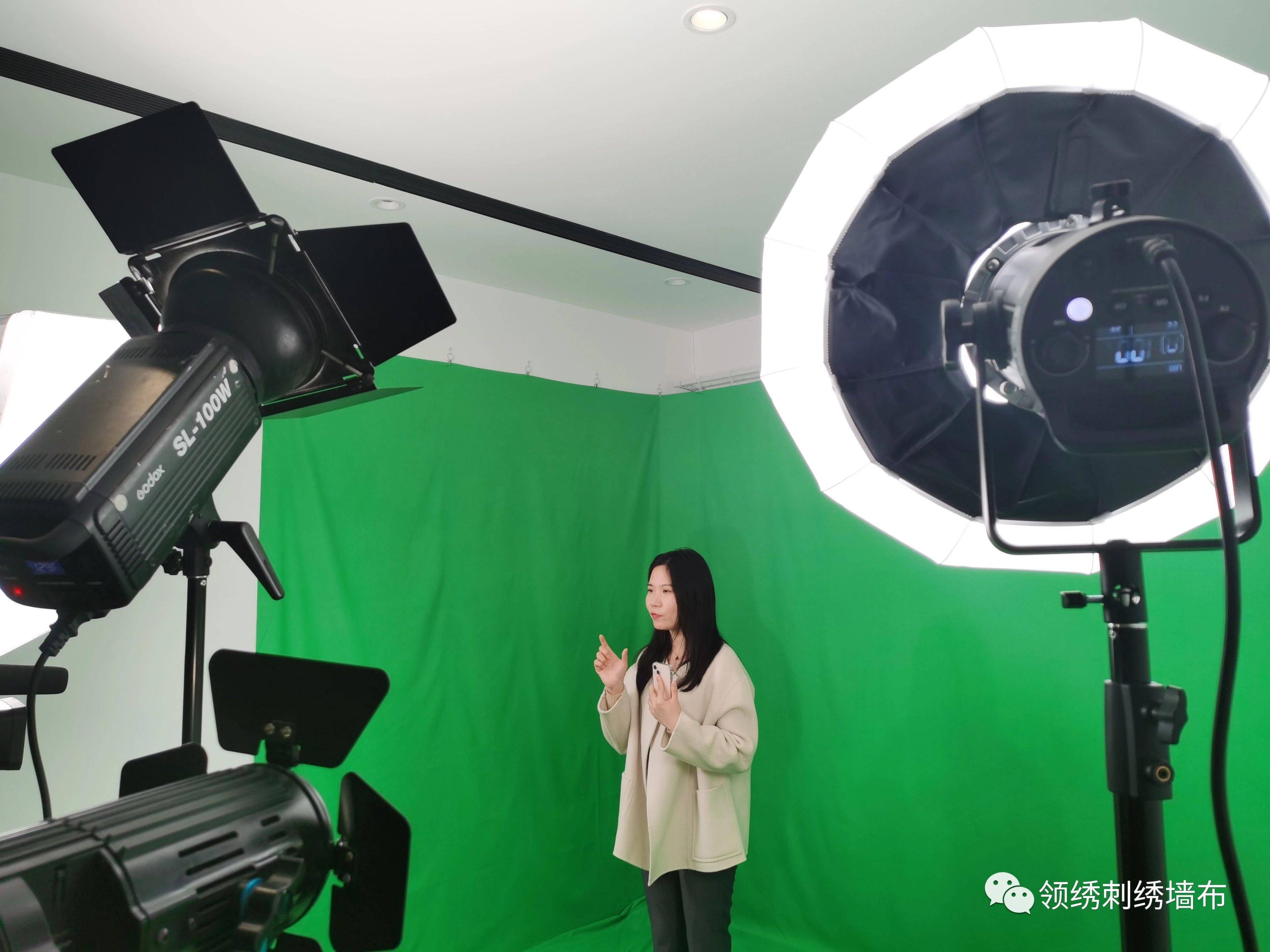 【领绣】沉浸式3d直播完美收官,家居软装行业的"顶流盛世"来了_产品_