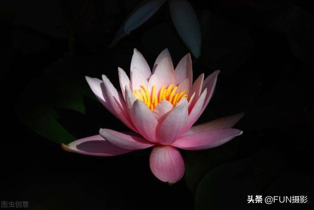 拍照怎么拍成黑背景 aa1e3f0752834ba6a6e1dbf8837f74a5.jpeg