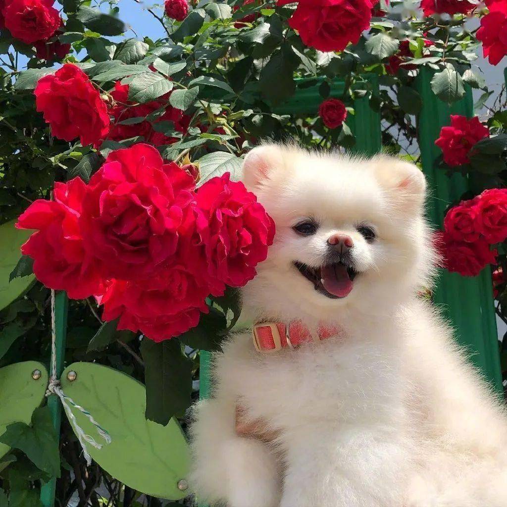 向日葵73慢节奏的生活和慢节奏的我72我淹没在万人声响71慢节奏