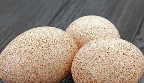 家养火鸡蛋多少钱一个 13块到20块一斤_备用_蛋白_面糊