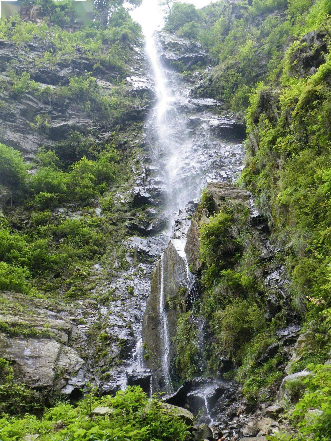 光山|万物生长！青山妩媚！群星之下的国家公园……