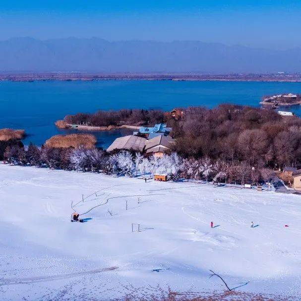 宁夏沙湖冬天图片