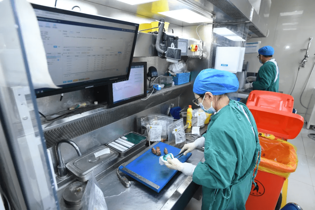 探秘病理科:切下来的人体组织,病理医生拿去做了啥?