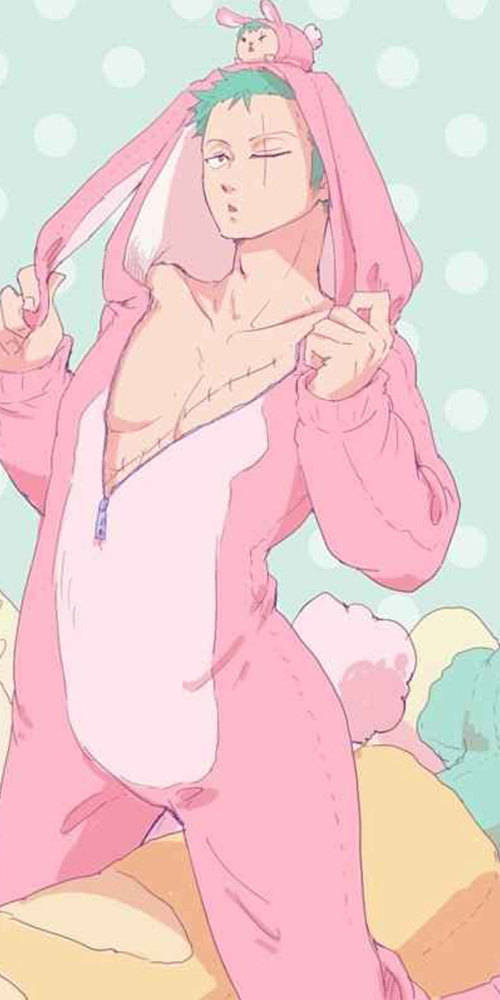 动漫壁纸海贼王索隆手机壁纸当索隆爱上女装