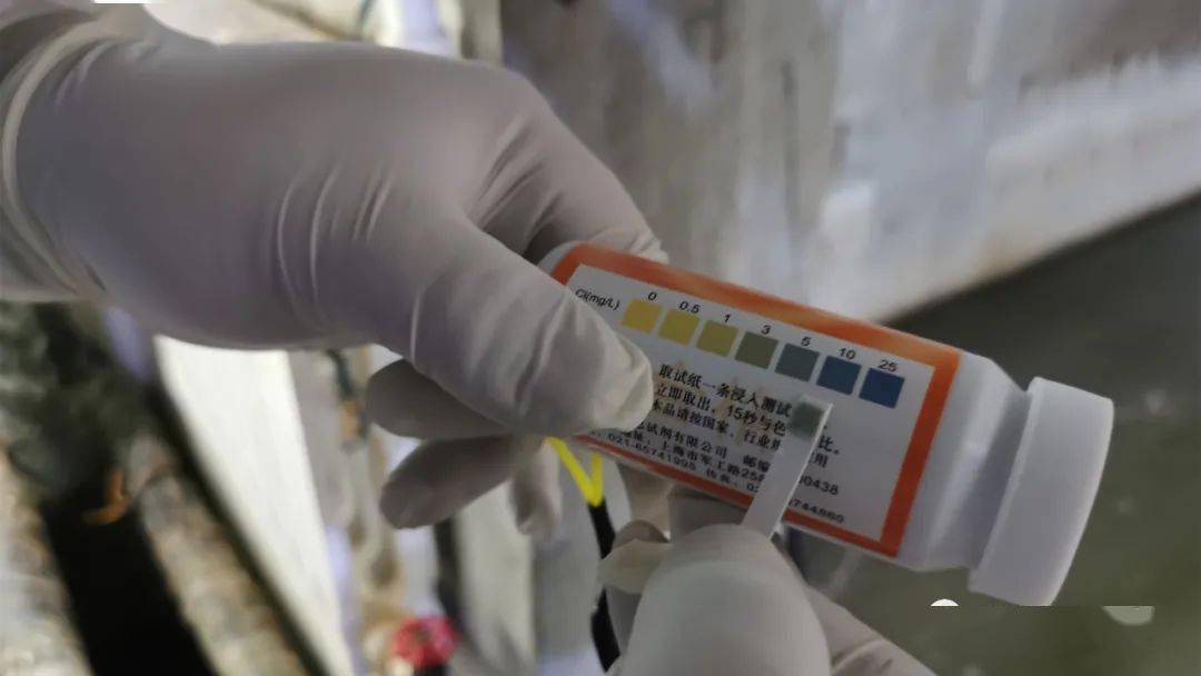 保安全 用责任净化每一滴水——记者探访医学隔离点生活污水处置"最后