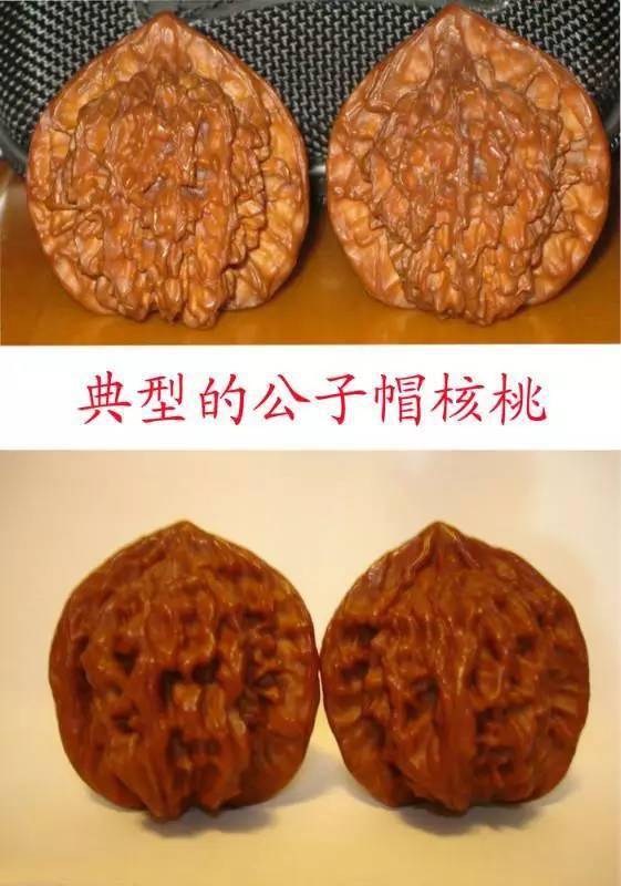 文玩核桃分类大全掌上攻略