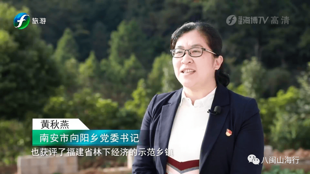 福建旅游频道专题报道南安赋能林下产业创星促文旅共发展