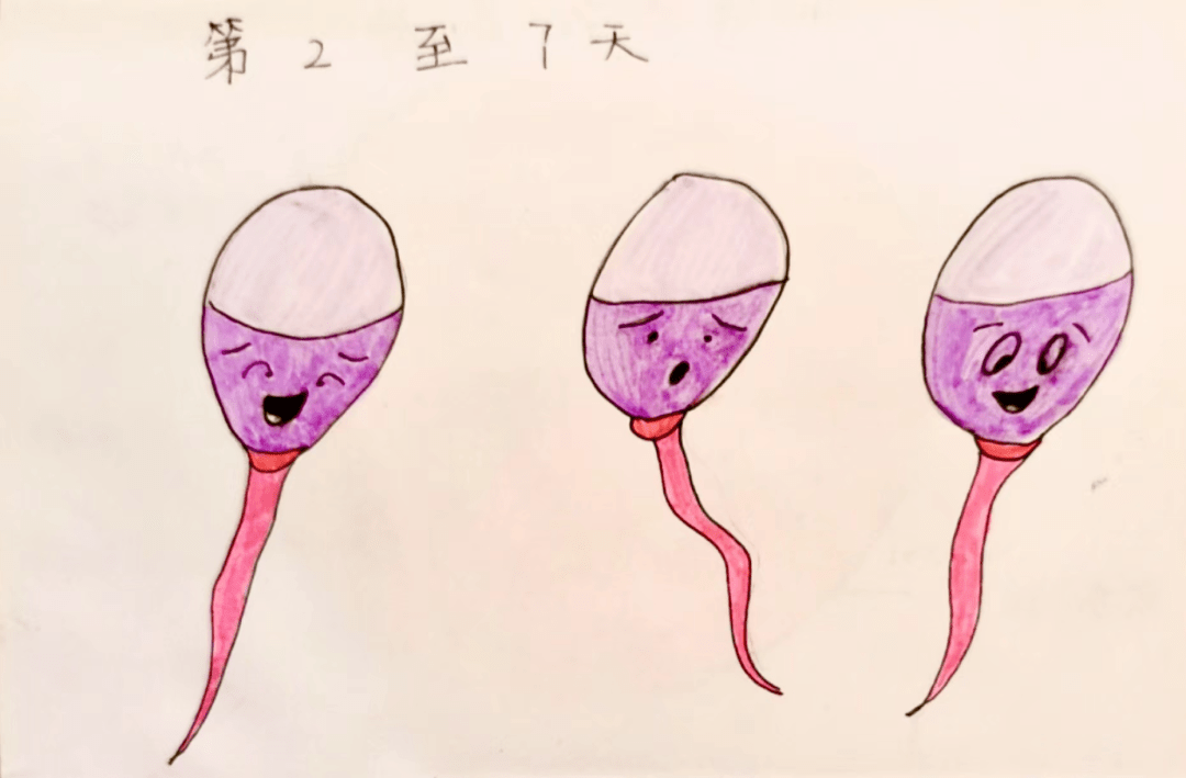 关于精子库捐精的那些事儿_小蝌蚪_人类_精液