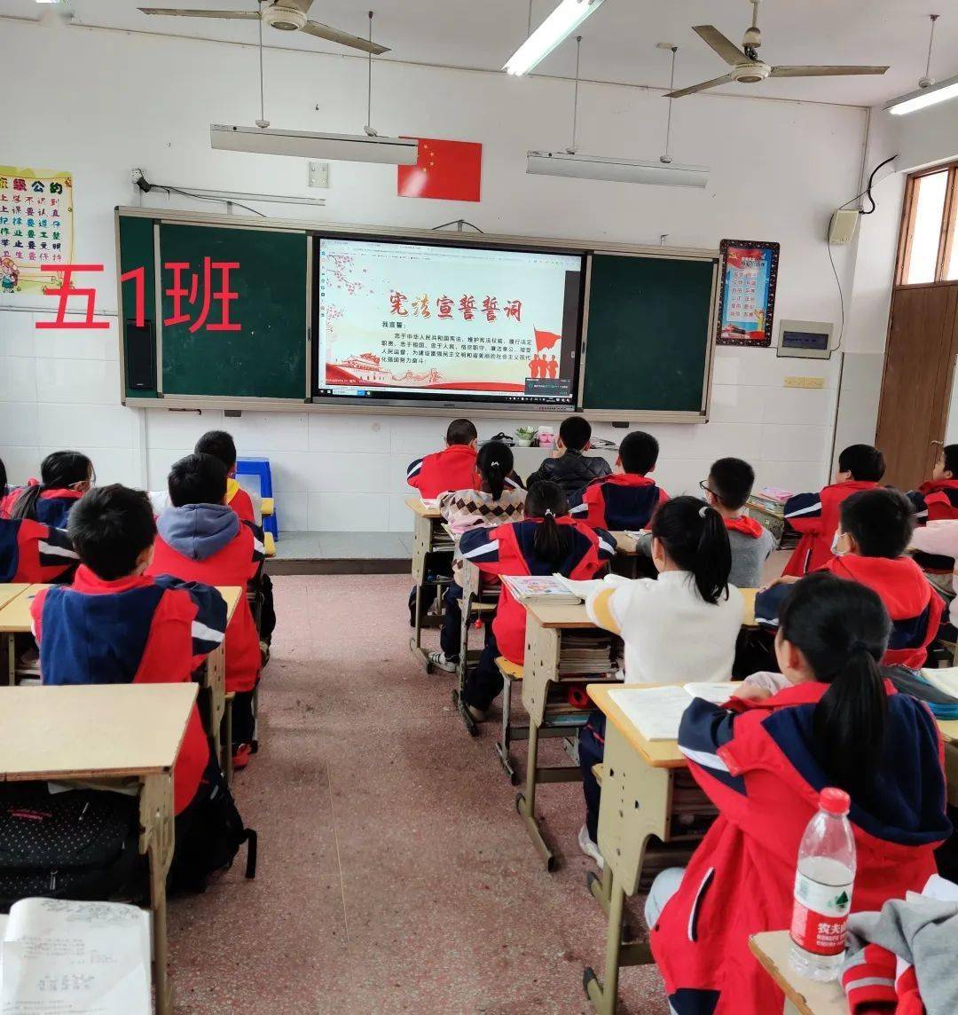你好!红领巾 | 白水洋小学少先队工作巡礼