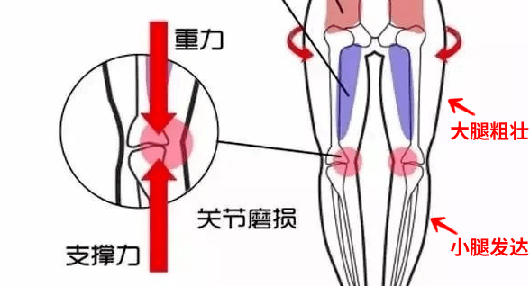 邢万欣71岁奶奶“玩弄”性感，禁欲真的太难了：拉开女人差距的不止脸和体重，还有这一点...