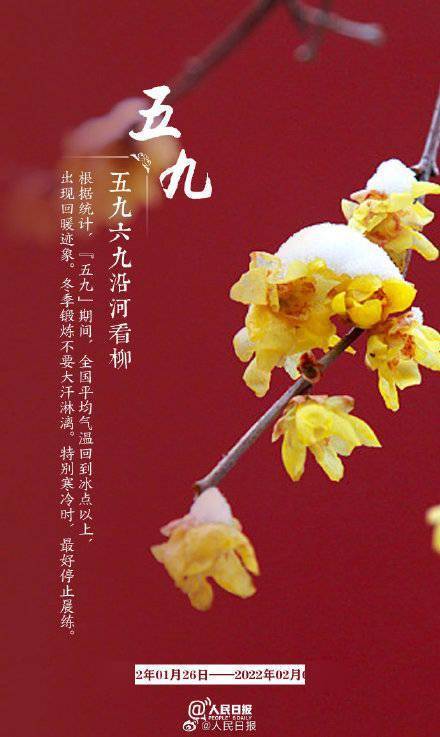 耕牛|“数九天”到了！收好“九九健康日历”