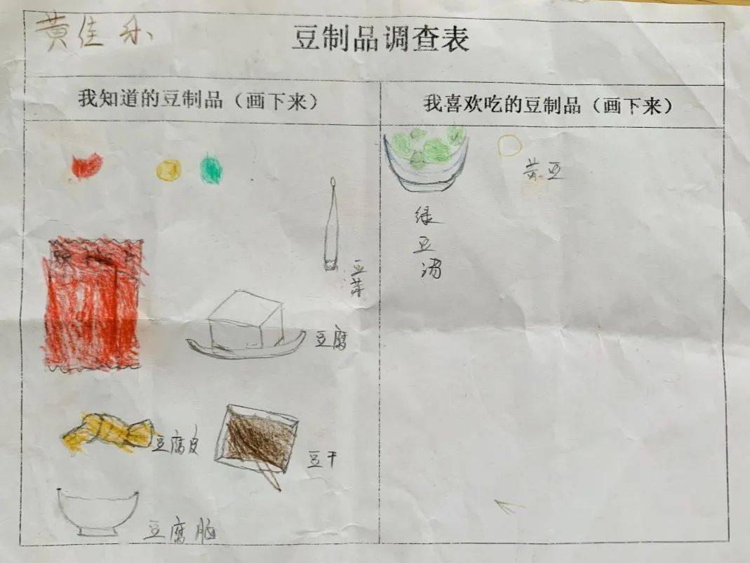 幼儿园豆豆调查表图片图片