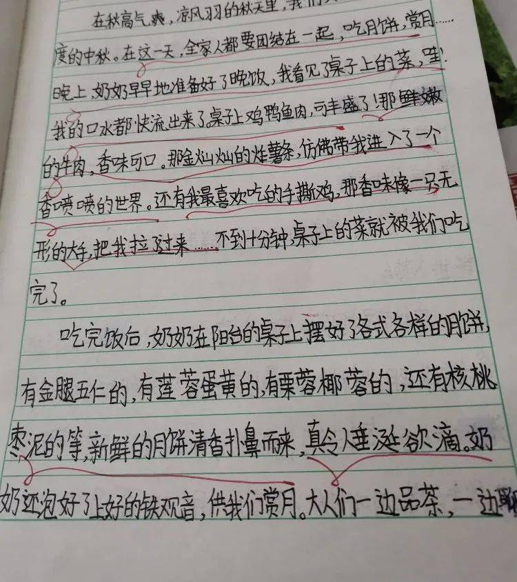 既能科學合理地佈置作業,也能對學生作業進行及時,規範,細緻地批改