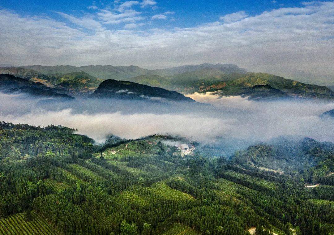 这个冬天来马边游苗寨住树屋探秘彝乡风情