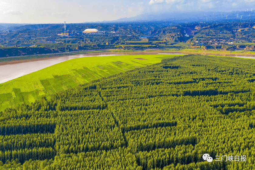 开局十四五出彩看崤函系列报道之四┃生态优先绿满崤函