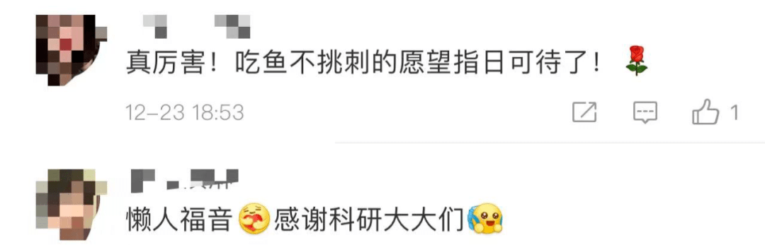 来源|吃鱼不挑刺？高校重大突破！网友有个大胆的想法......