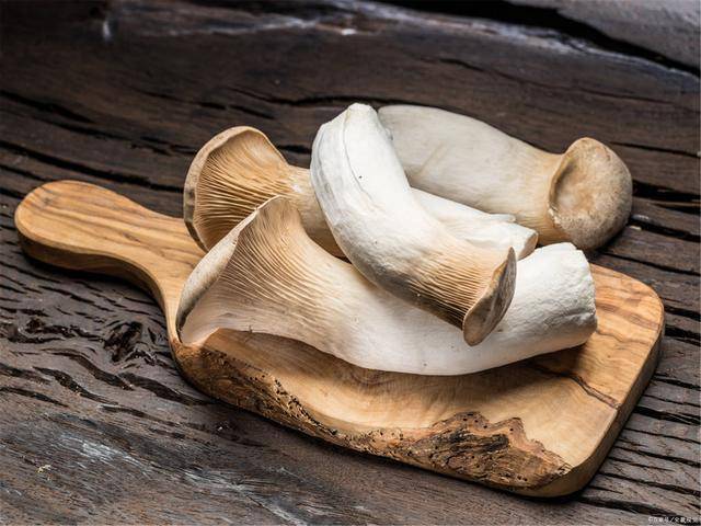 430a69c08e8b4b199ee05ac3db366e42.jpeg