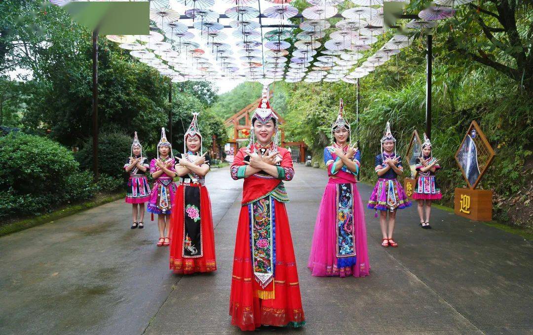 "畲族凤凰"在东西岩舞翩翩,千年畲乡与万年丹霞的邂逅