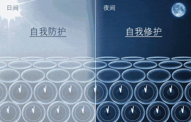 节日全年仅一次！888元到手雅诗兰黛限定礼盒，一次get精华、眼霜、眼影... 12件明星单品限量抢！