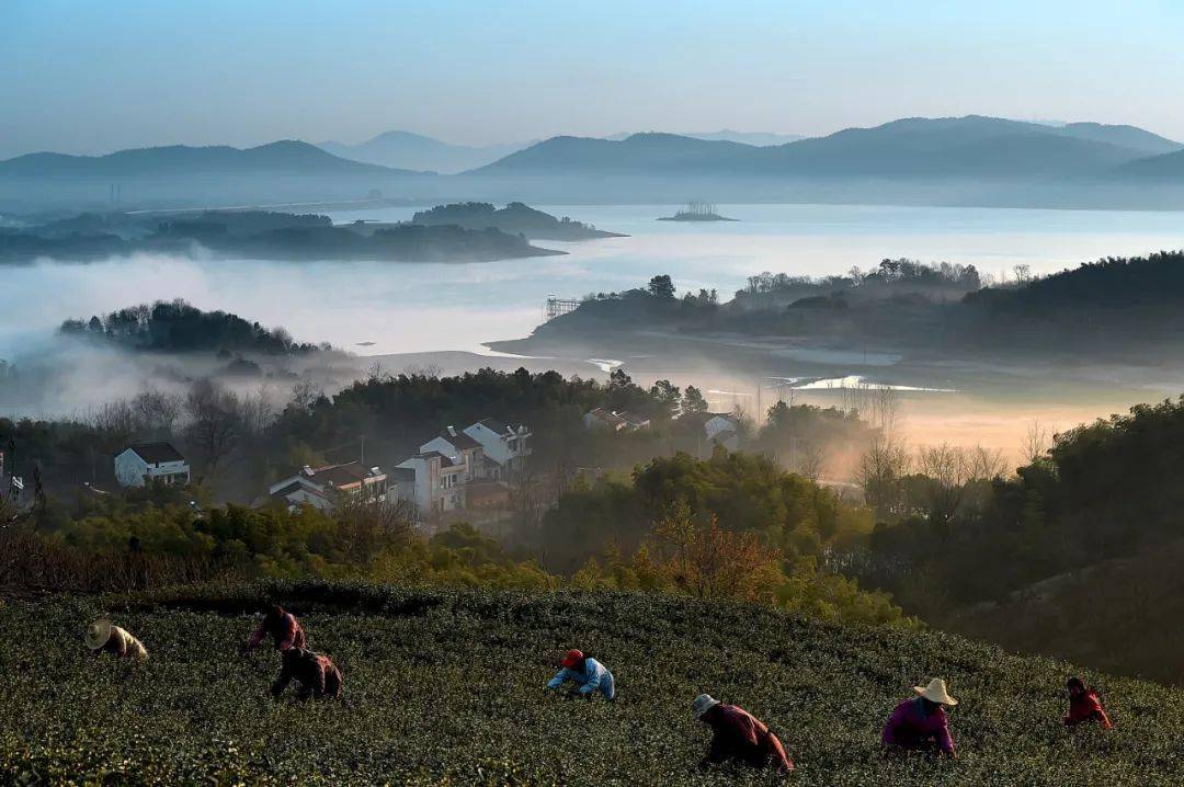 此刻宜兴,温暖如初_隔离_万石镇_防疫