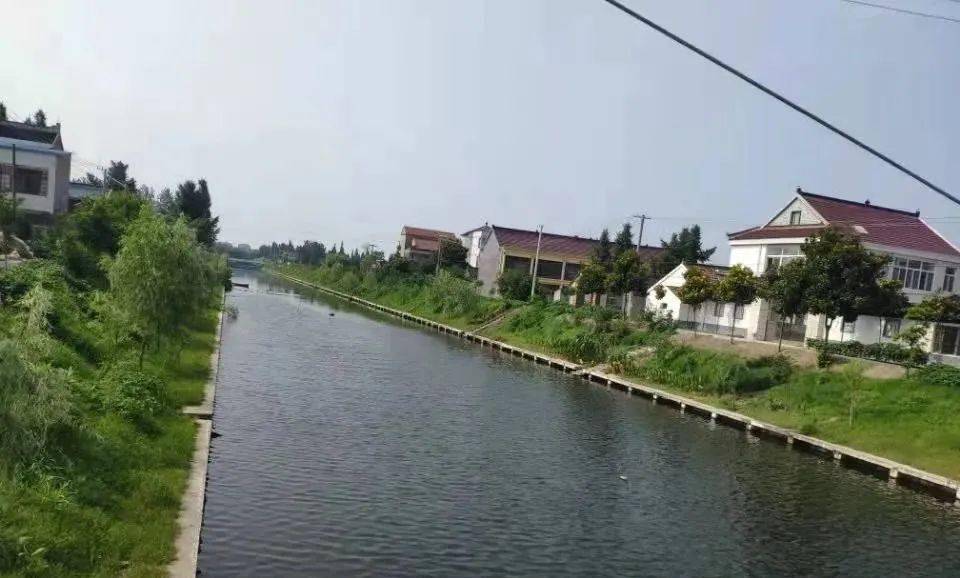 生态如皋搬经镇高明庄社区河道治理有法宝河道管护有新招