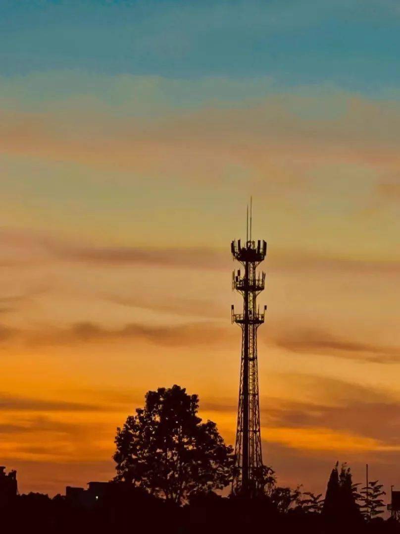 每日一图流行色赤霞